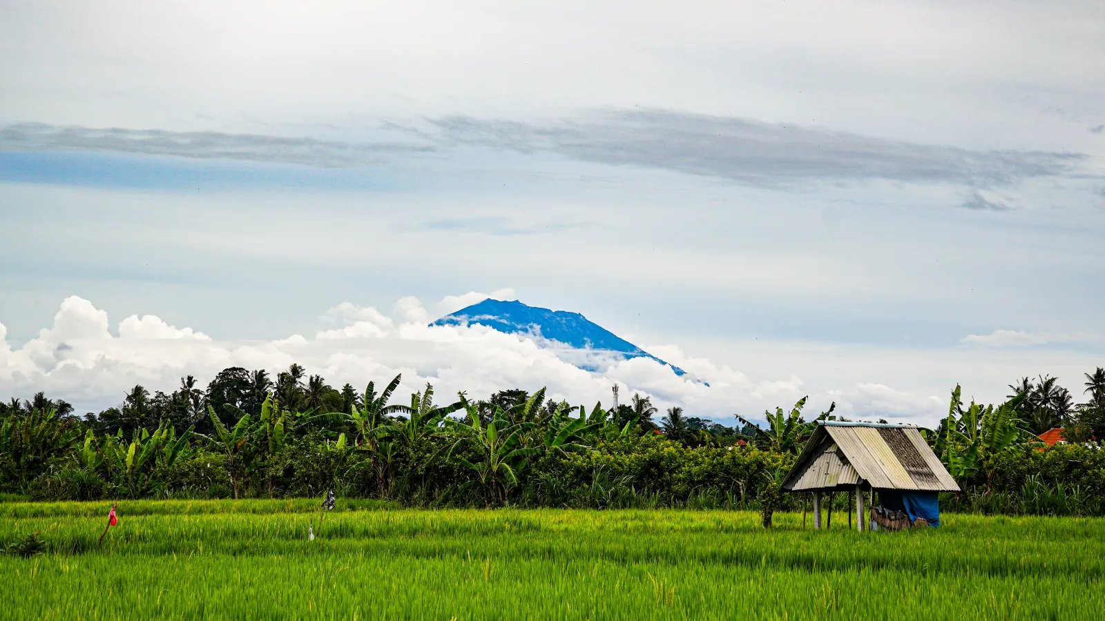 BALI — Індонезія · 2026