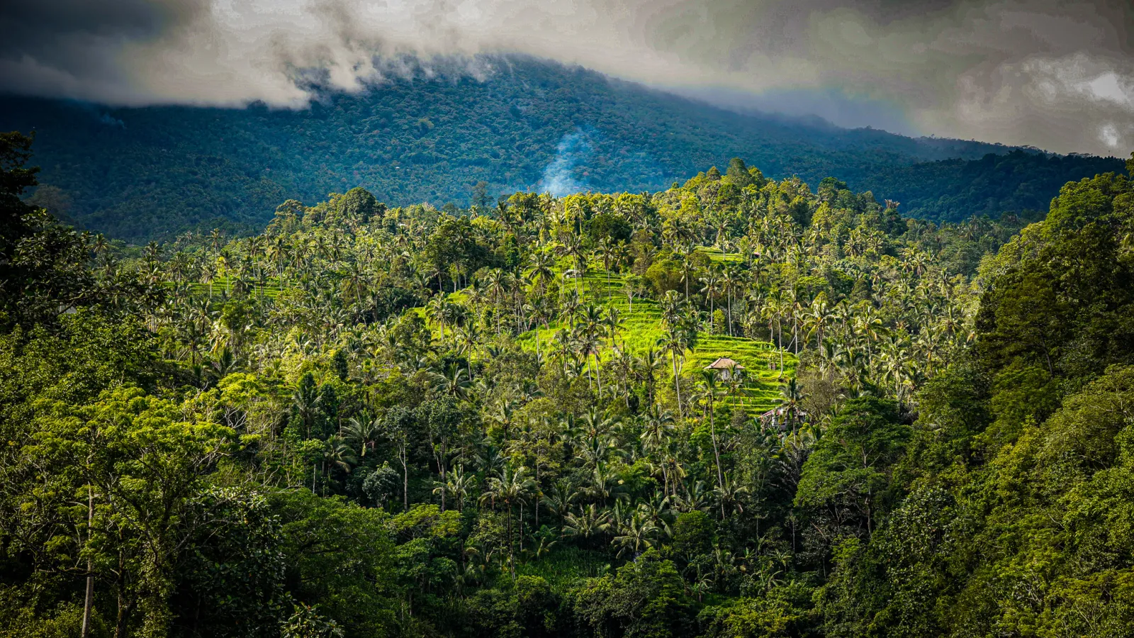 BALI — Indonesia · 2026