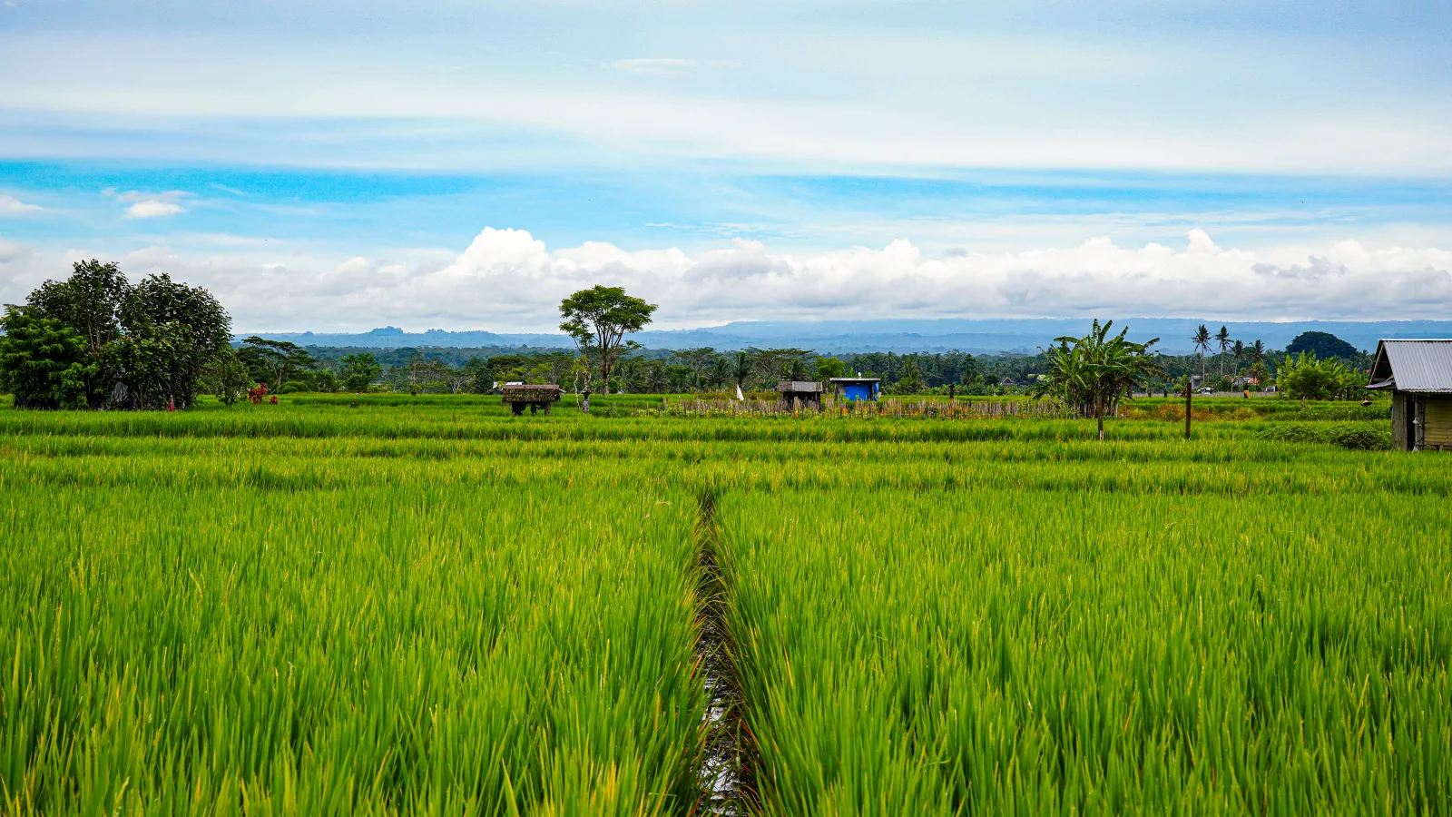 BALI — Индонезия · 2026