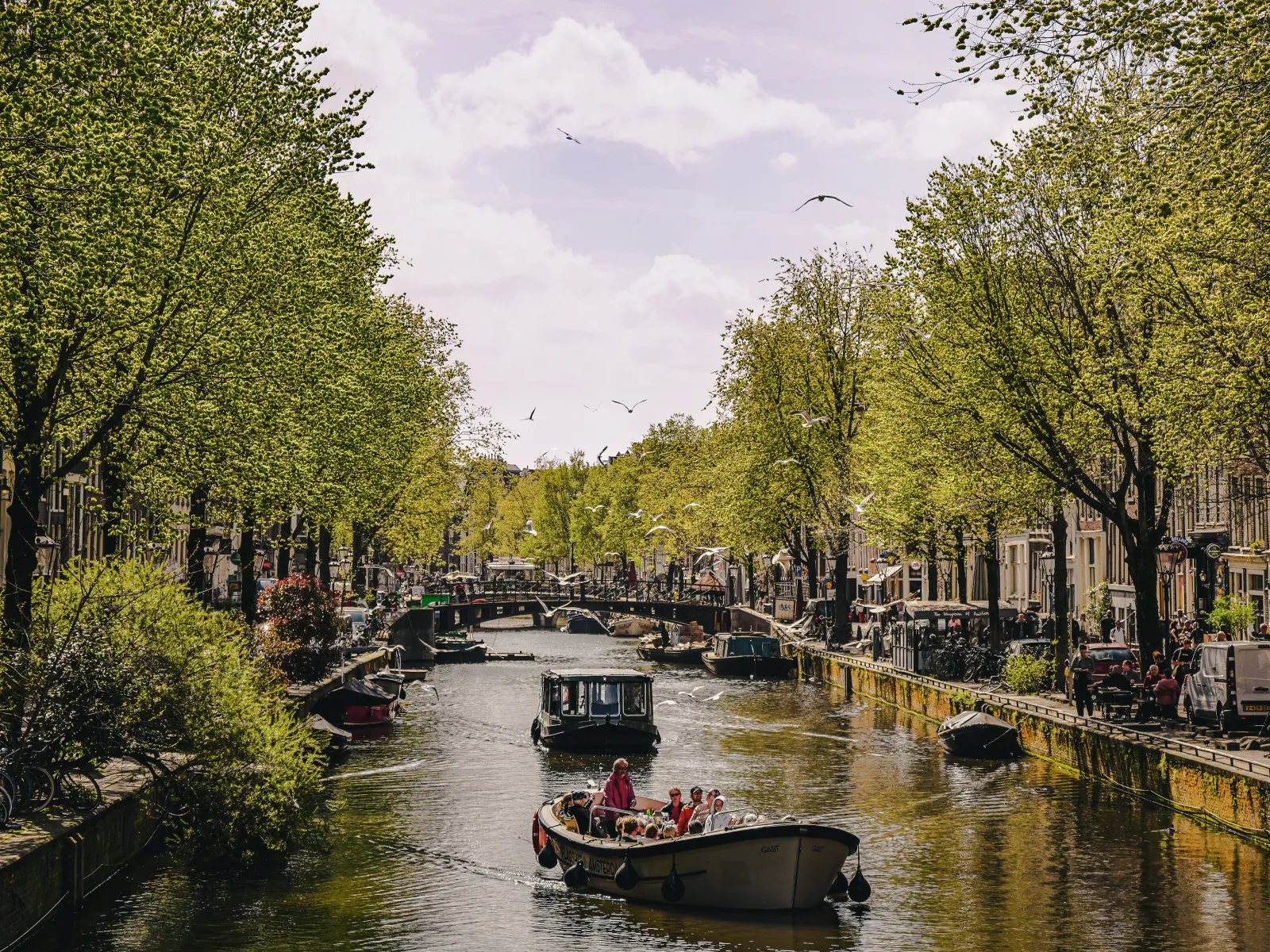 NETHERLANDS — 2026