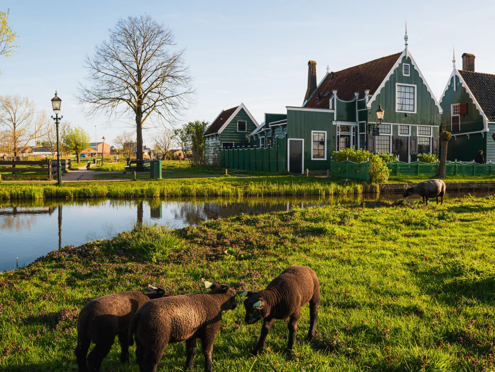 NETHERLANDS — 2026