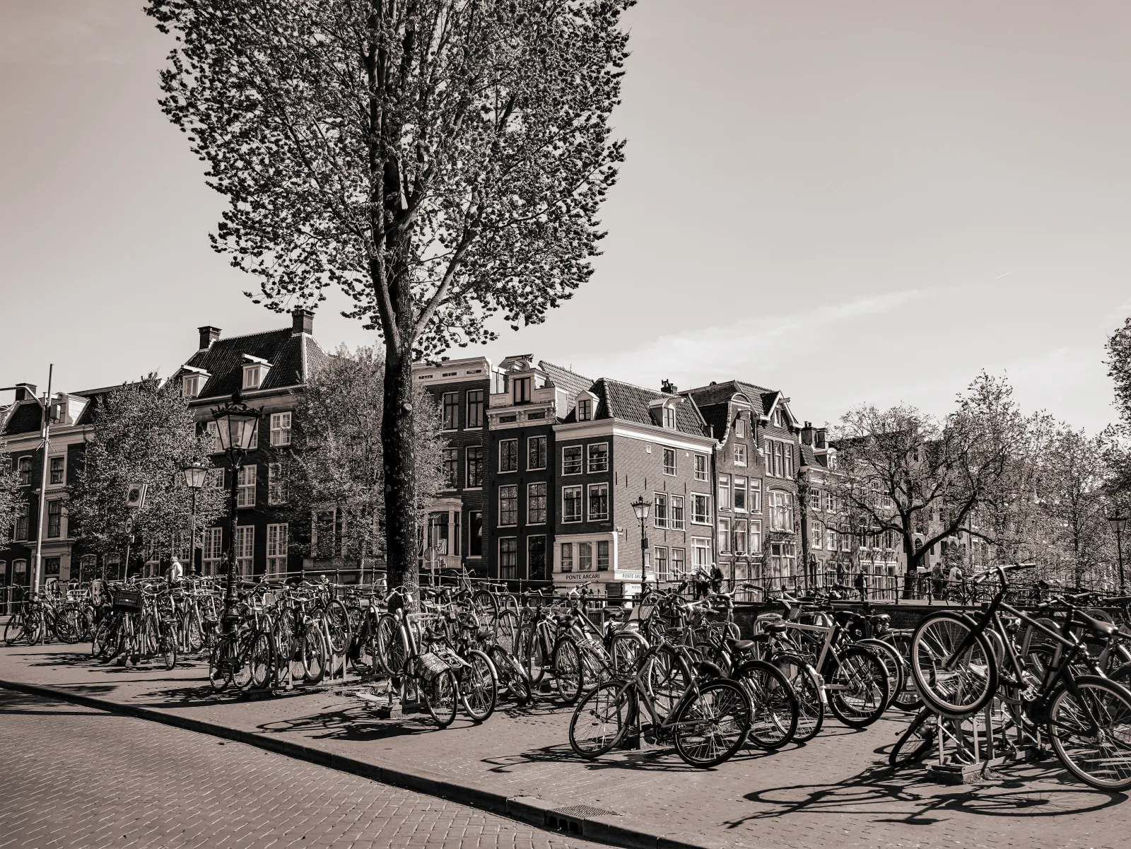 NETHERLANDS — 2026