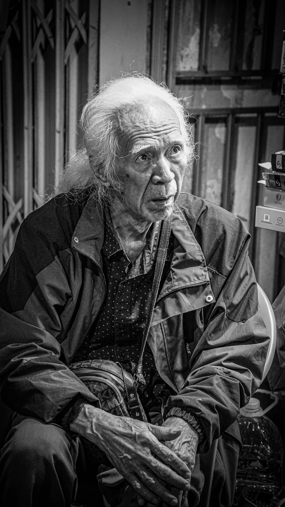 STELLA ZHYVANOVA — 2026