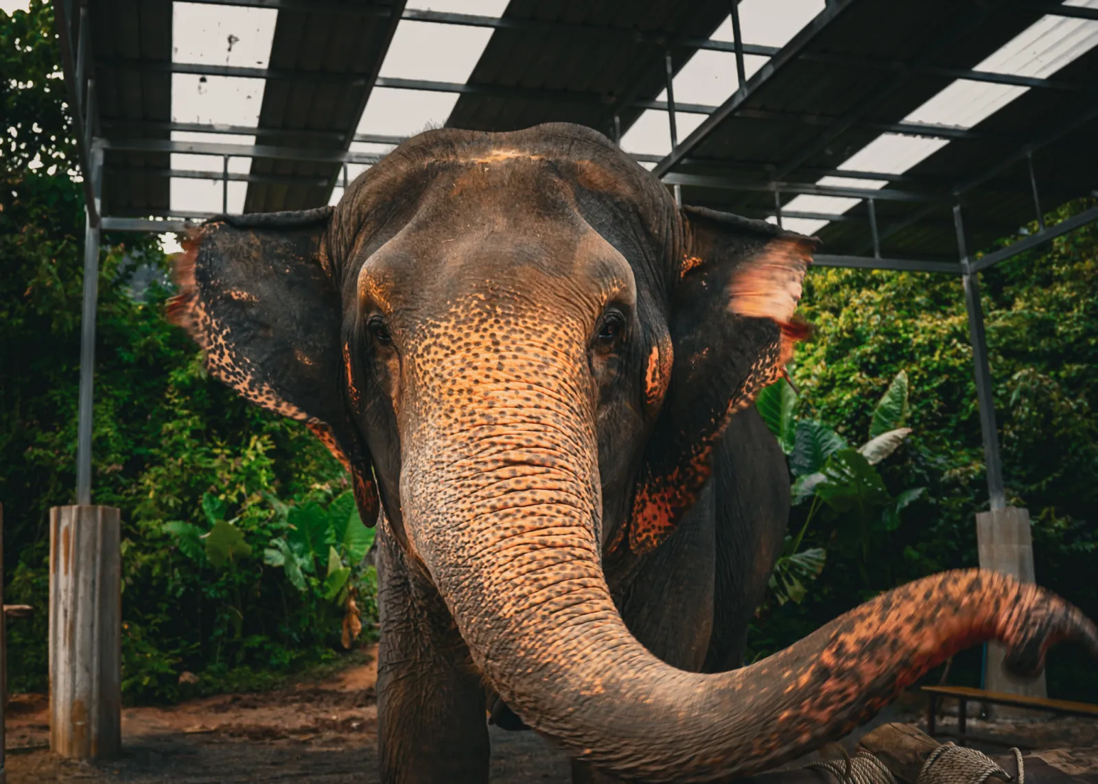 THAILAND — Таиланд · 2026