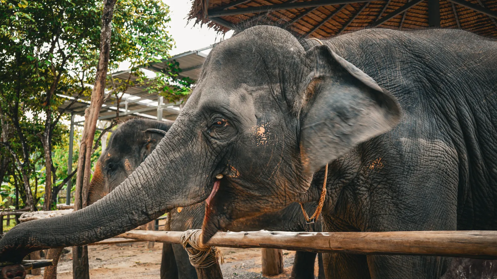 THAILAND — Thailand · 2026